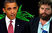 Between Two Ferns